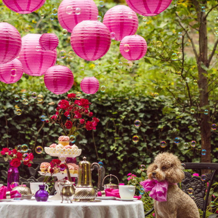 Hot pink paper lanterns hanging above an outdoor party table with a dog and bubbles