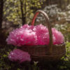 Pink Paper Pom Poms (16 Pack)