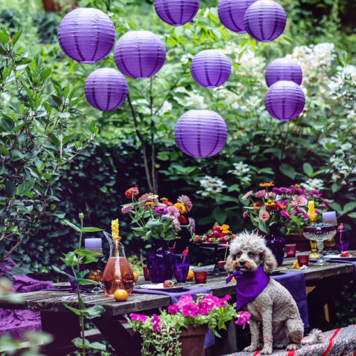 Purple paper lanterns hanging above an outdoor party table with a cute dog