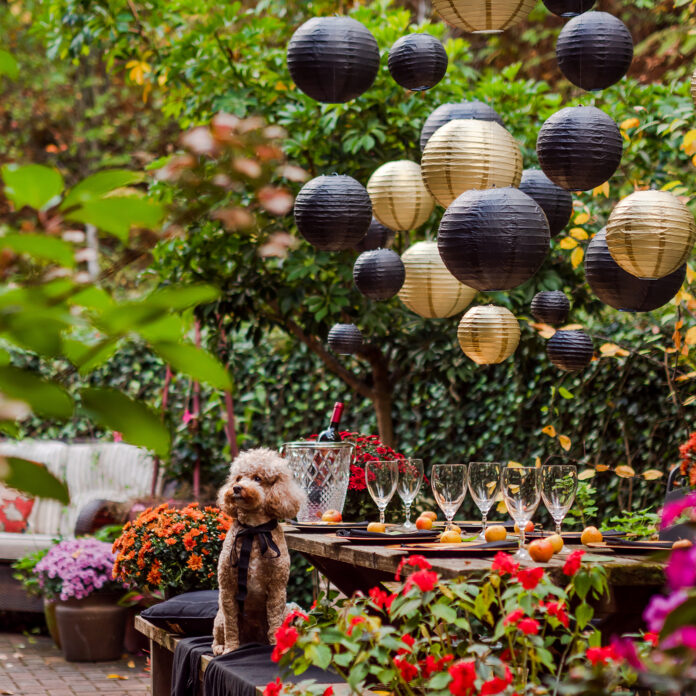 Gold and black paper lanterns